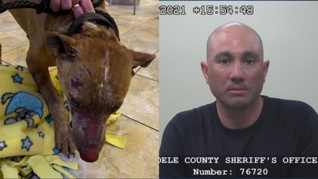 Prende a un perro en llamas y lo suelta en la interestatal I-80